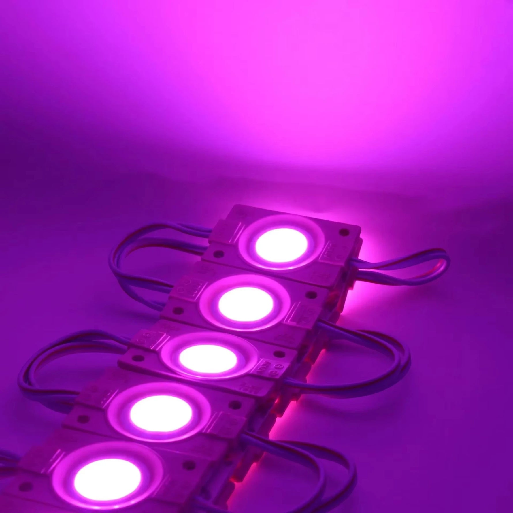 20 - Pack COB LED Module Lights 12V - Super Bright IP65 Waterproof for Signage &amp; Decor