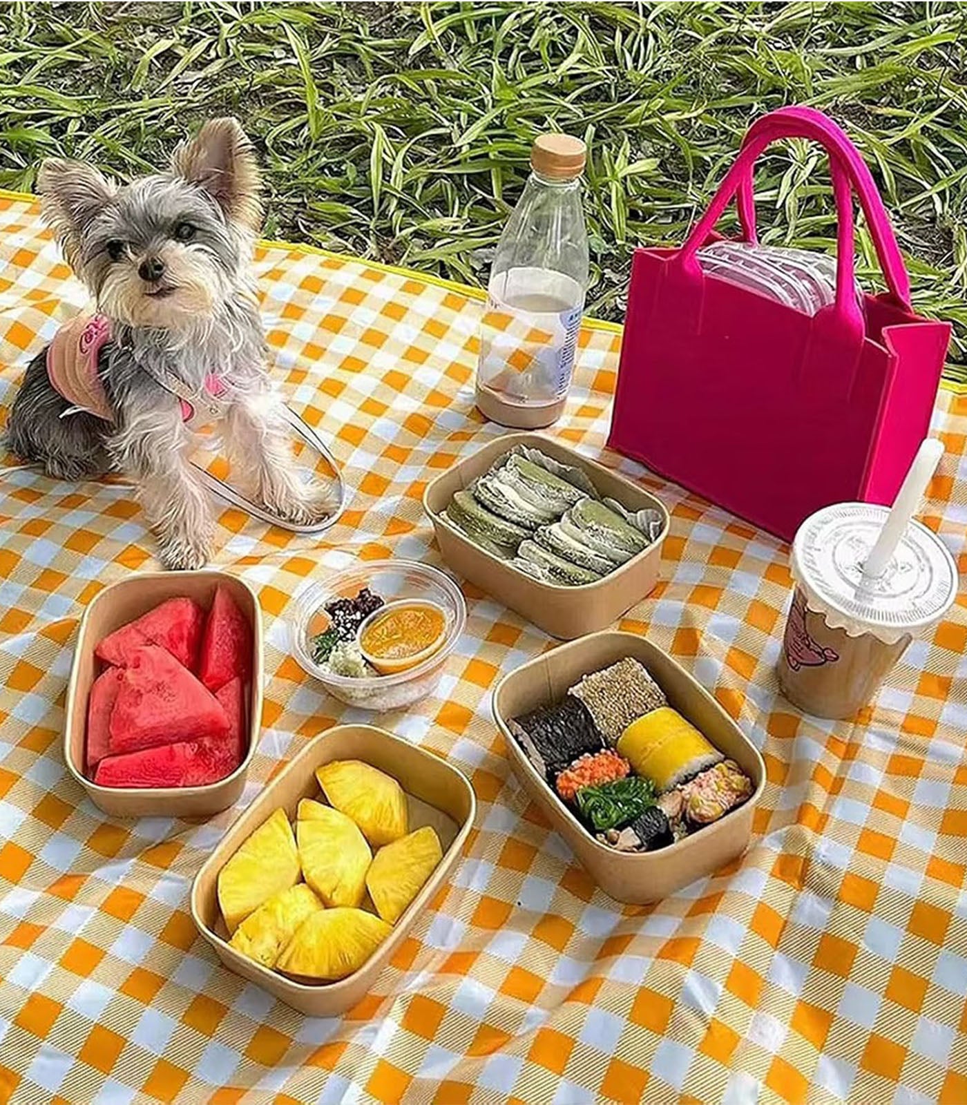 Waterproof &amp; Sandproof Picnic Mat – Foldable, Portable Outdoor Blanket for Beach, Grass, and Camping, Easy to Clean
