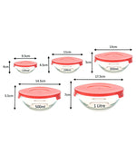 Elegant 5 Piece Clear Glass Bowl Set with Red Accents