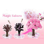 Magic Growing Sakura Crystal Tree – DIY Blooming Cherry Blossom Decoration