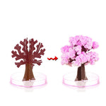 Magic Growing Sakura Crystal Tree – DIY Blooming Cherry Blossom Decoration