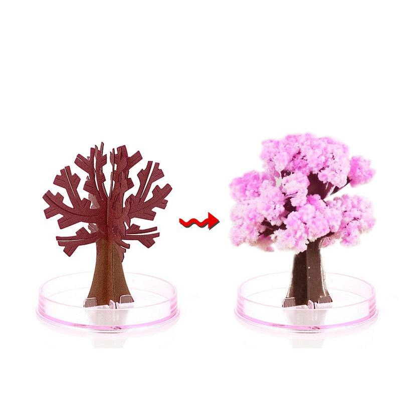 Magic Growing Sakura Crystal Tree – DIY Blooming Cherry Blossom Decoration