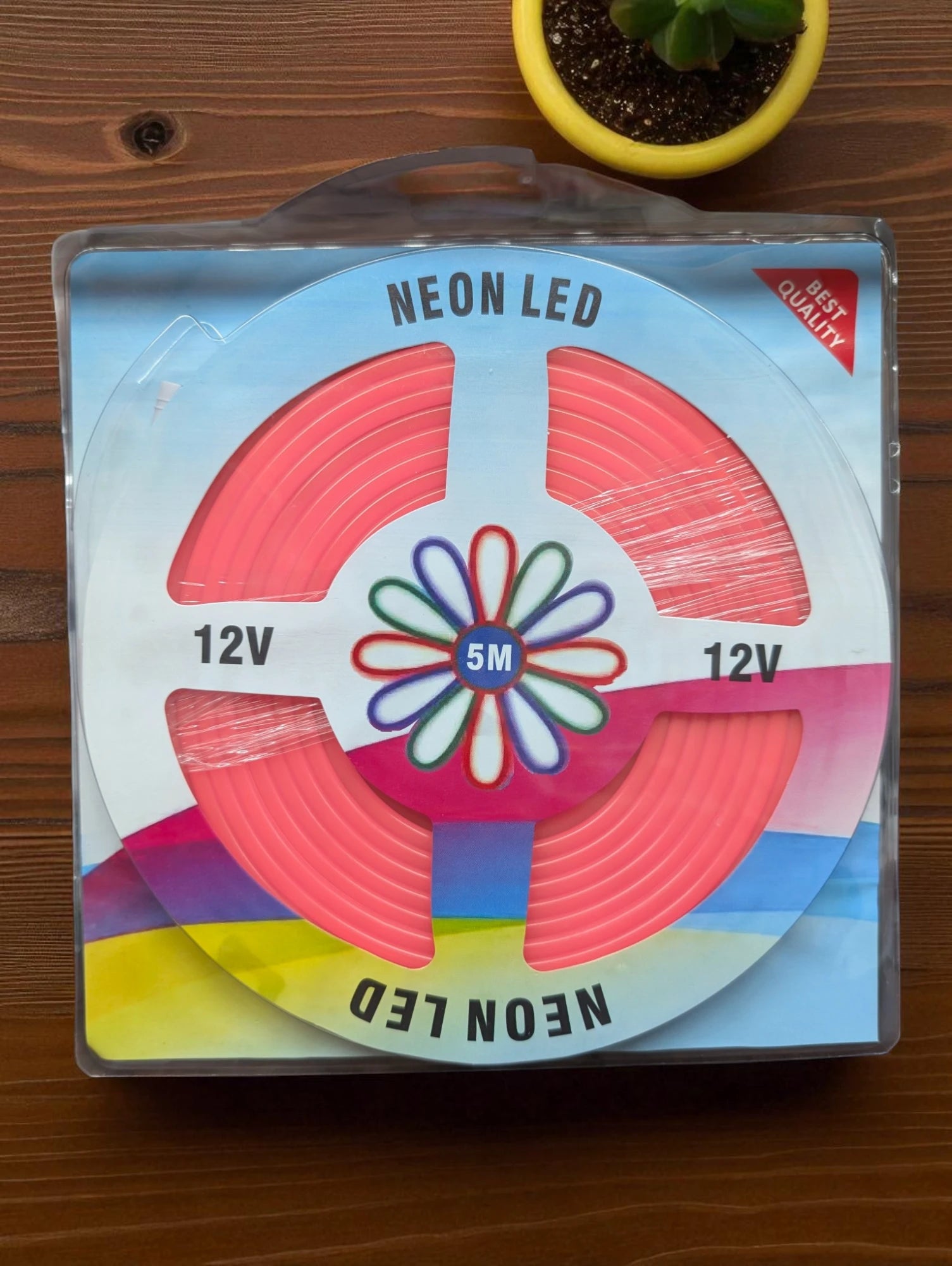 Flexible 5M 12V Neon Style LED Strip Light for Home Decor and Car Lighting