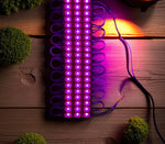 Professional-Grade DC12V 2835 LED Modules (20 Pcs) - IP67 Waterproof in Multiple Colors