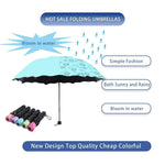Magic Flower Color Changing Umbrella – Three Fold Windproof Anti-UV Sun & Rain Folding Umbrella