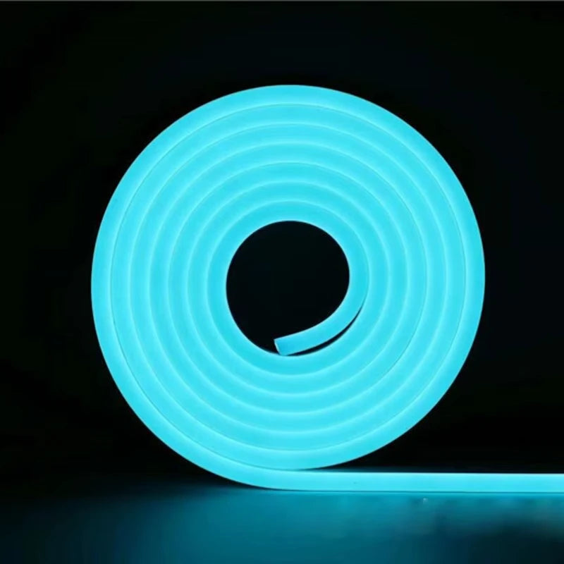 Flexible 5M 12V Neon Style LED Strip Light for Home Decor and Car Lighting