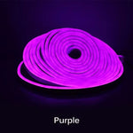 Flexible 5M 12V Neon Style LED Strip Light for Home Decor and Car Lighting